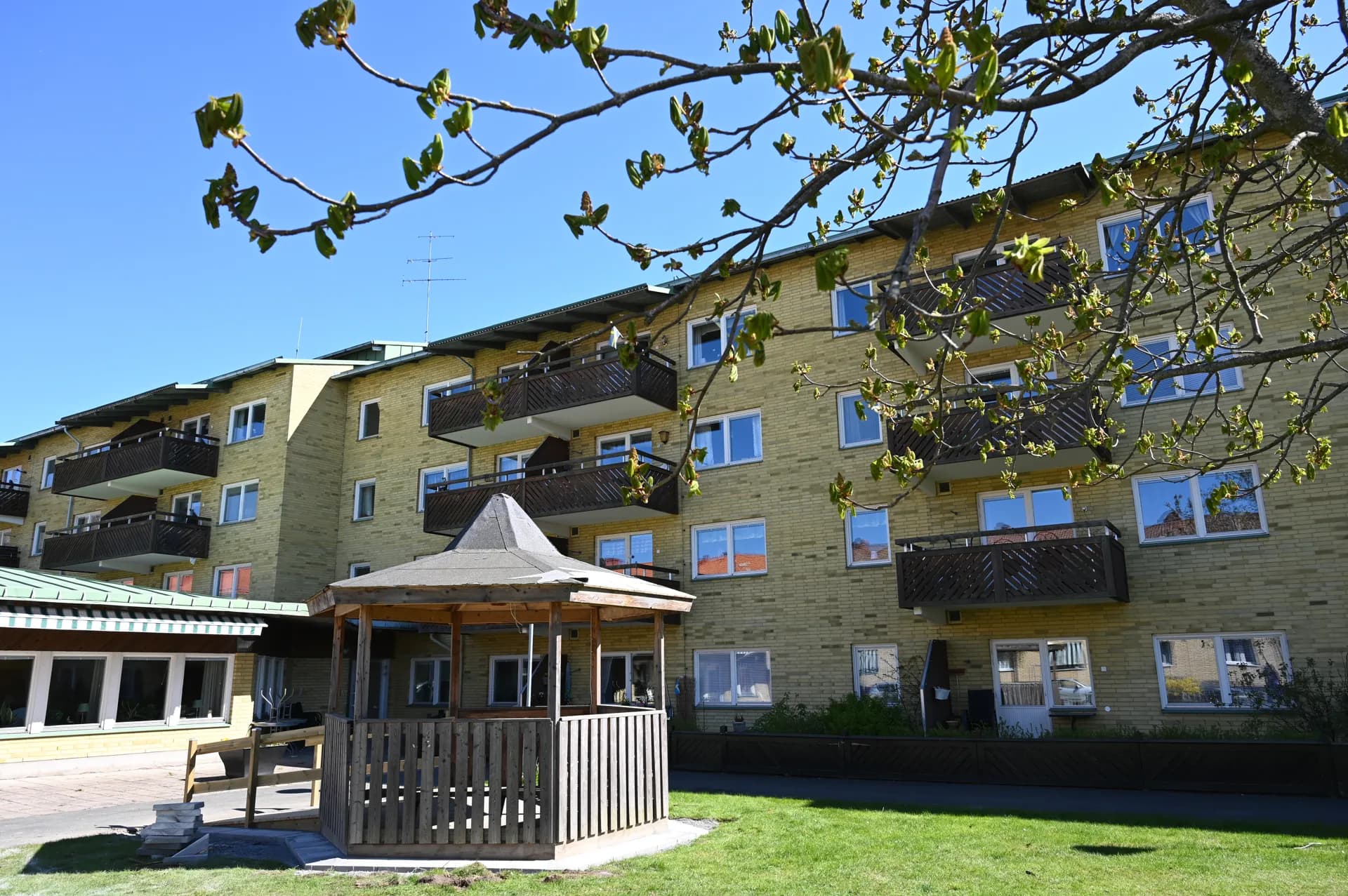Trygghetsboende med balkonger, gräsmatta och pergola på innergård, omgiven av grönskande trädgrenar