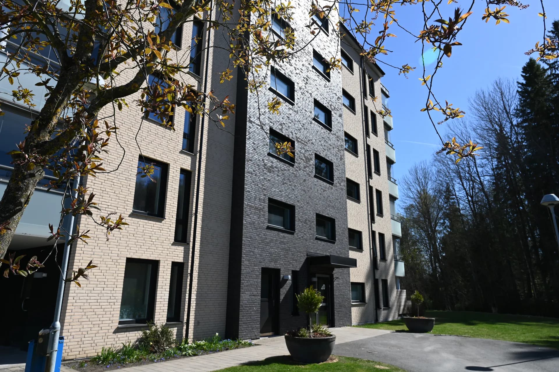 Modern flerbostadsbyggnad med ljus och mörk tegelfasad och entré mot gård och grönområde