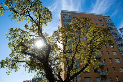 Gult tegelhus med träd i förgrunden och solen som lyser igenom